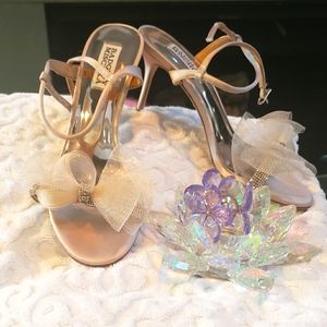 New (other than try-on) silver Badgley Mischka shoes!